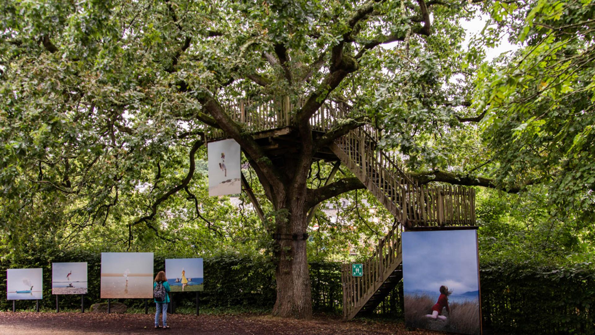 Festival la Gacilly photo