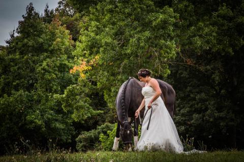 séance mariage G et N aux Haras du Lion d'Angers